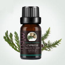 Load image into Gallery viewer, 100% Pure &amp; Natural Essential Oils 10ml