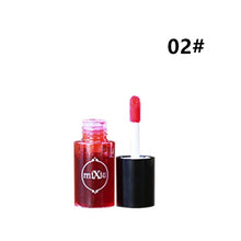 Load image into Gallery viewer, Makeup Waterproof Multifunction Lip Gloss